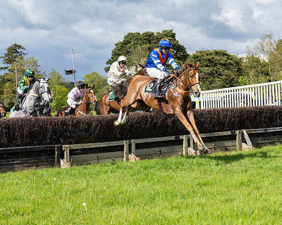 Race 5  - Maiden  (16 of 84)