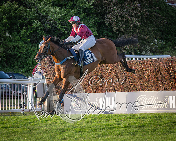 Race 5 - tipsterreviews.co.uk handicap (34 of 107)