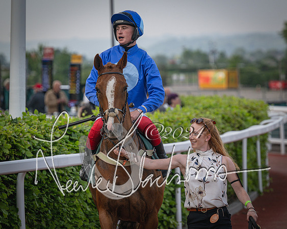 Race 5 - Mares Open Hunter Steeplechase 3m2f 70y (57 of 269)