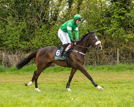 Race 7 - Open Maiden  (3 of 106)