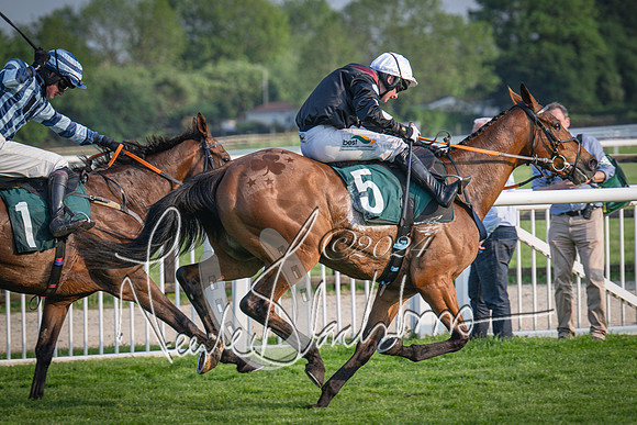 Race 4 - The Jonathan Neesom memorial open Hunter’s steeplechase 3m2f 70y (112 of 167)