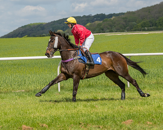 Race 2 - Restricted  (27 of 90)