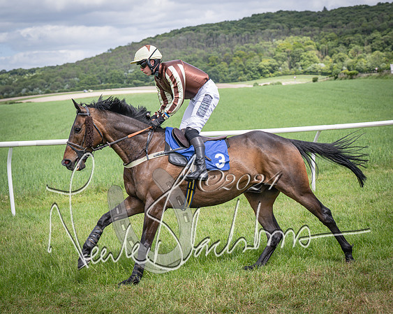 Race 1 - The owner-trainer Conditions race (24 of 118)