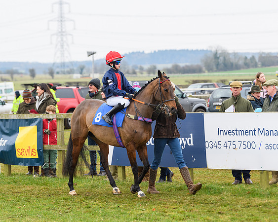 Pony Race 3 - 148cm Open  (14 of 143)