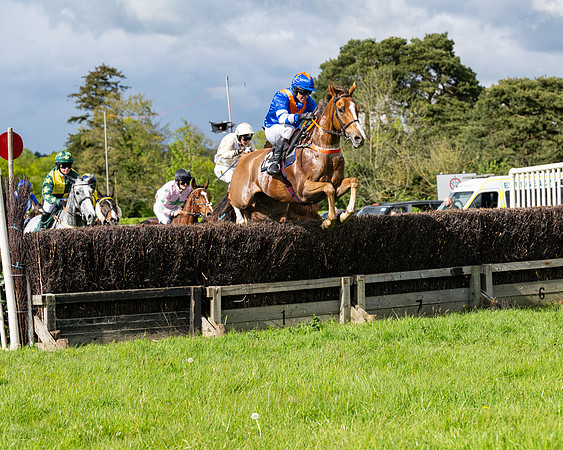 Race 5  - Maiden  (12 of 84)