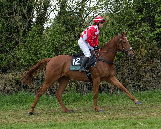 Race 6 - Restricted (86 of 173)