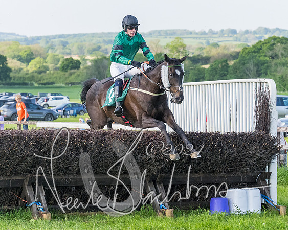 Race 7 - Veteran Horse (149 of 246)