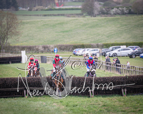 Race 6 - The Restricted Race (27 of 101)