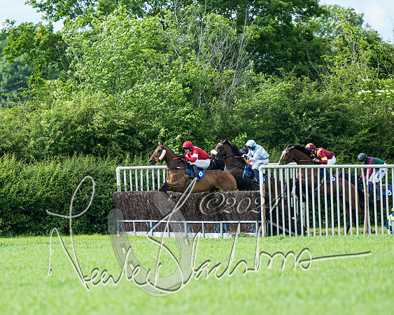Race 5 - Restricted Race (253 of 434)