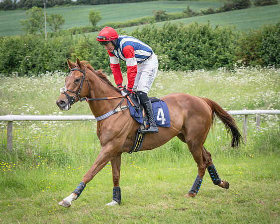 Race 2 - The Restricted race (9 of 84)