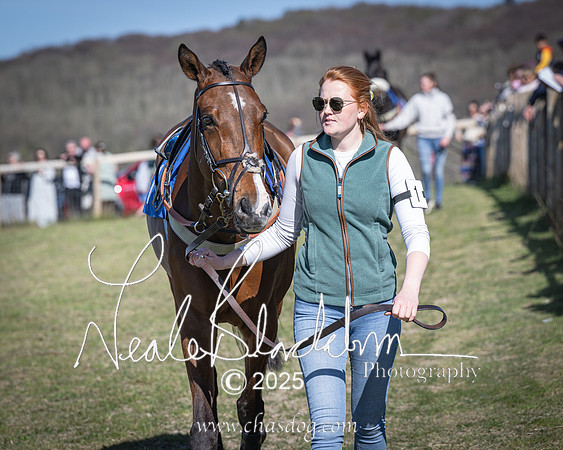 Race 6 - Veteran horse (4 of 109)