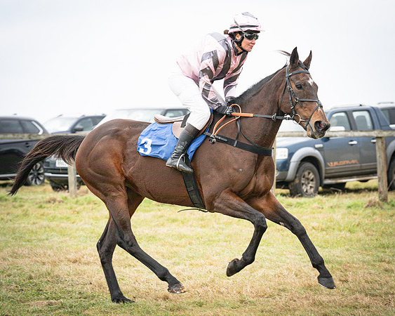 Race 3 - Ladies Open (11 of 109)