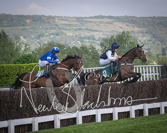 Race 2 - The Venatour sports travel intermediate point to point hunters’ steeplechase 5 year olds and over 3m2f (33 of 163)