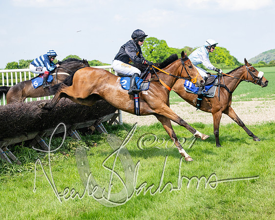 Race 3 - Ladies Open  (101 of 133)