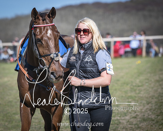 Race 6 - Veteran horse (14 of 109)