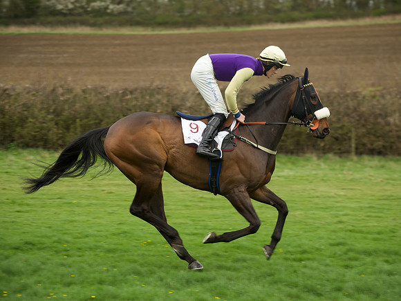 Race 2 Confined - 29