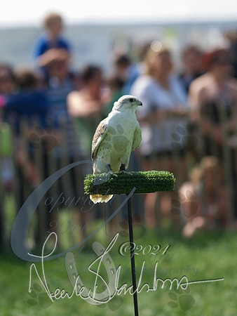 picture-14