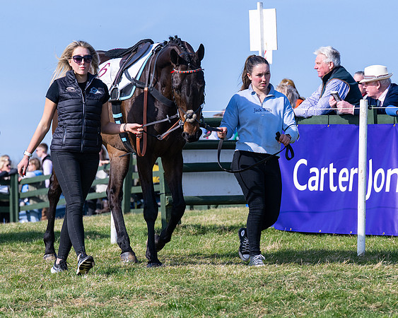 Race 3 - The Intermediate race (7 of 106)
