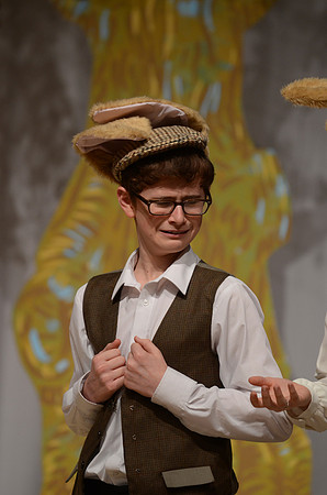 Wind in the Willows Dress 4