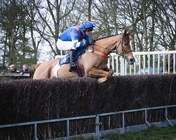Race 2 - Maiden (70 of 145)