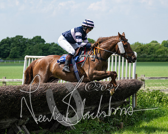 RAce 1 - Conditionsn [Level 2] (172 of 219)
