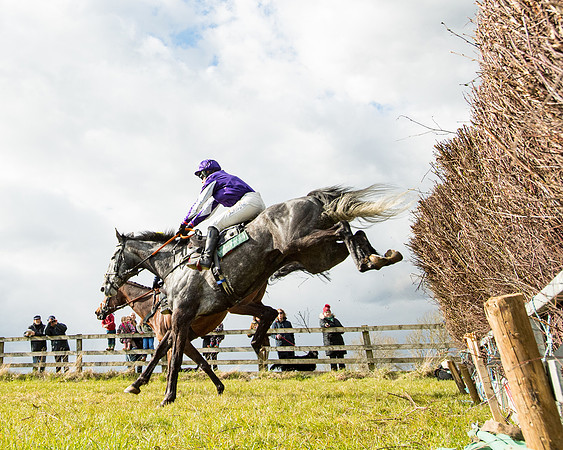 Race 5 - Restricted  (39 of 118)