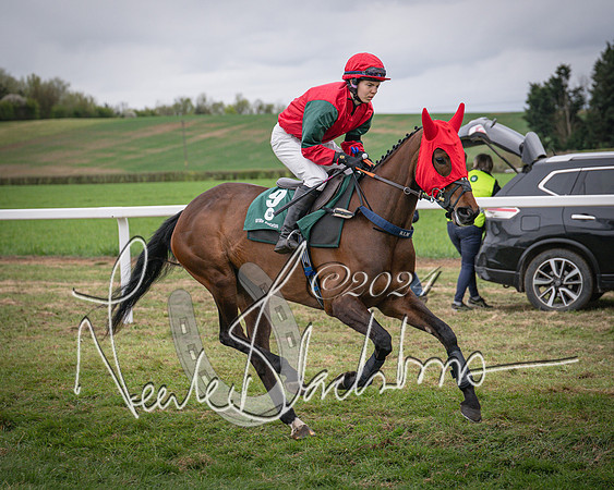 Race 6 - The Restricted Race (12 of 101)