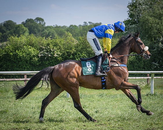 Race 4 - Novice Riders Final (17 of 97)