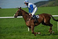 Race 7 -  11