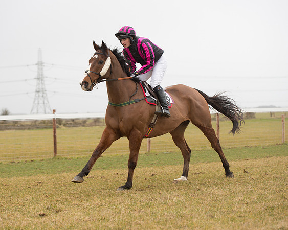 Race 6 - Open Maiden (71 of 120).jpg