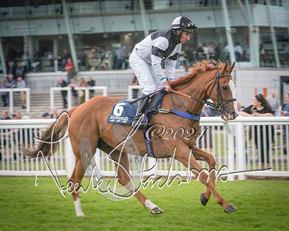 Race 1 - Pointing Pointers Restricted Final (27 of 79)