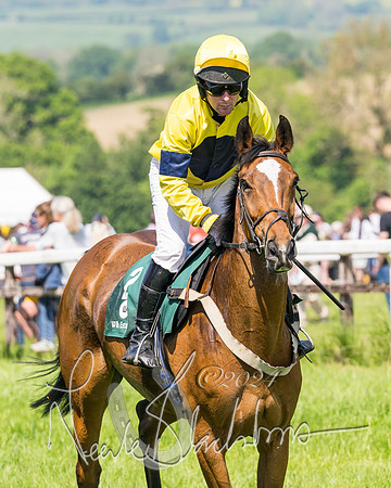 Race 2 - The Maiden  (19 of 442)