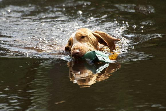WCGB-04AUG-2013 Water Training Day 26