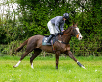 Race 3 - Young Horse Maiden (7 of 216)
