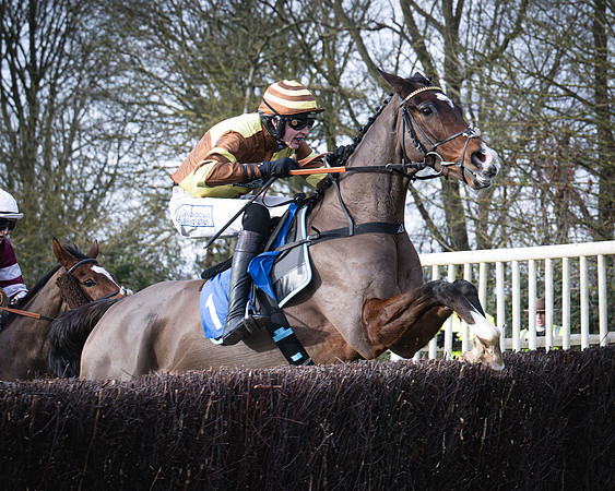 Race 1 - All Is True - Jack Andrews (25 of 38)