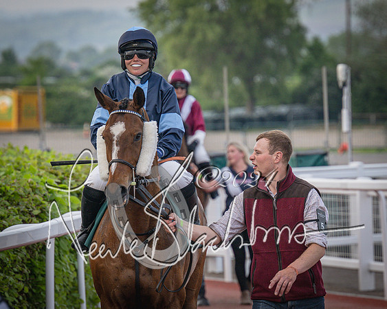 Race 5 - Mares Open Hunter Steeplechase 3m2f 70y (35 of 269)