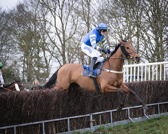 Race 2 - The Maiden (97 of 156)