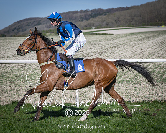 Race 6 - Veteran horse (42 of 109)