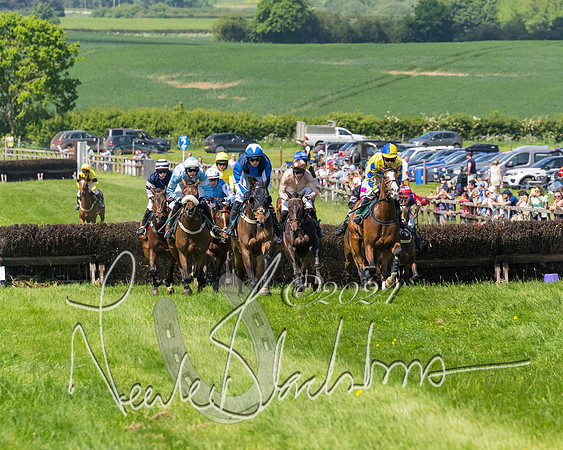 Race 2 - The Maiden  (208 of 442)
