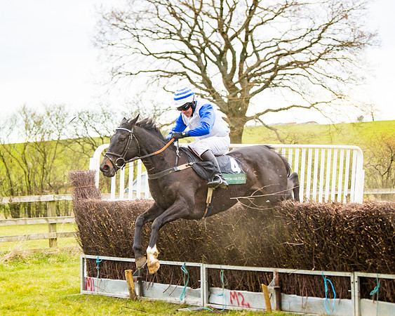 Race 6 - 6 year old and over Maiden 2m4f (21 of 62)