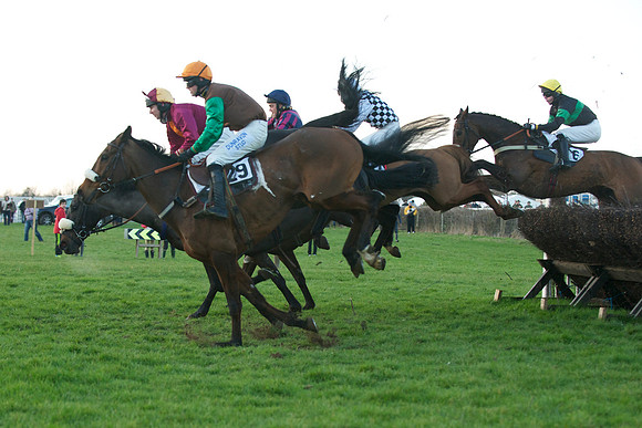 Race 9 -  41