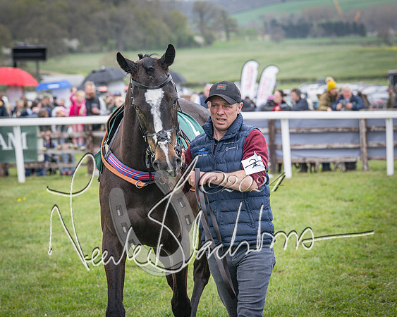 Race 2 - Tattersalls Cheltenham 4 year old Maiden (10 of 85)