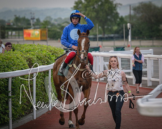 Race 5 - Mares Open Hunter Steeplechase 3m2f 70y (54 of 269)