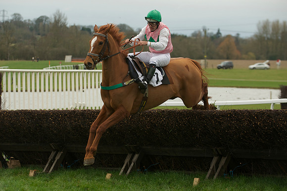 Mares Maiden -  22