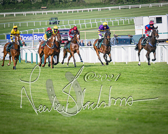 Race 3 - The Junior Jumpers open hunter's steeple chase 3m1f56y (43 of 156)