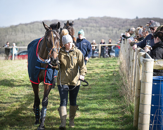Race 1 - Four and Five year Old Maiden (22 of 137)