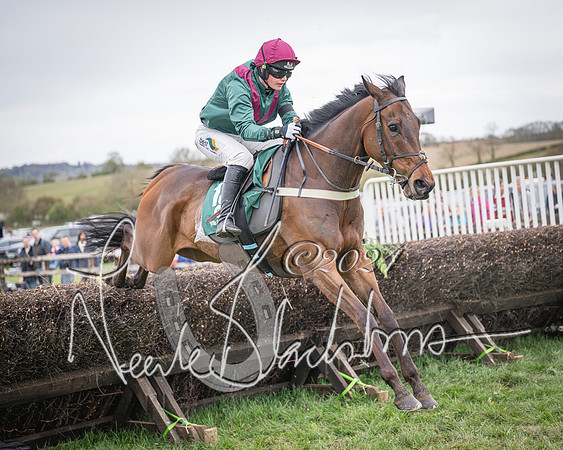Race 6 - The Restricted Race (62 of 101)