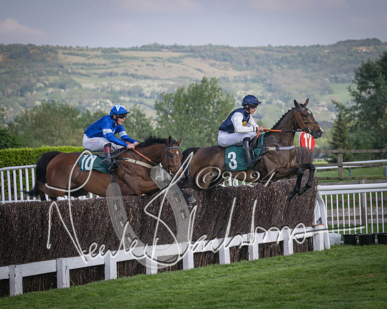 Race 2 - The Venatour sports travel intermediate point to point hunters’ steeplechase 5 year olds and over 3m2f (35 of 163)