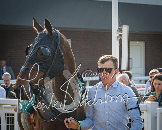 Race 3 - The Junior Jumpers open hunter's steeple chase 3m1f56y (12 of 156)