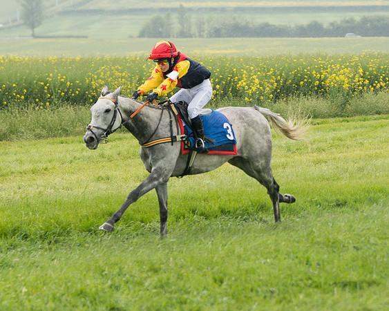 Pony Race 2 (57 of 113)